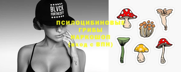 соль ск Балабаново