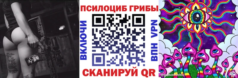 Галлюциногенные грибы Psilocybe  купить наркотики сайты  Губкинский 
